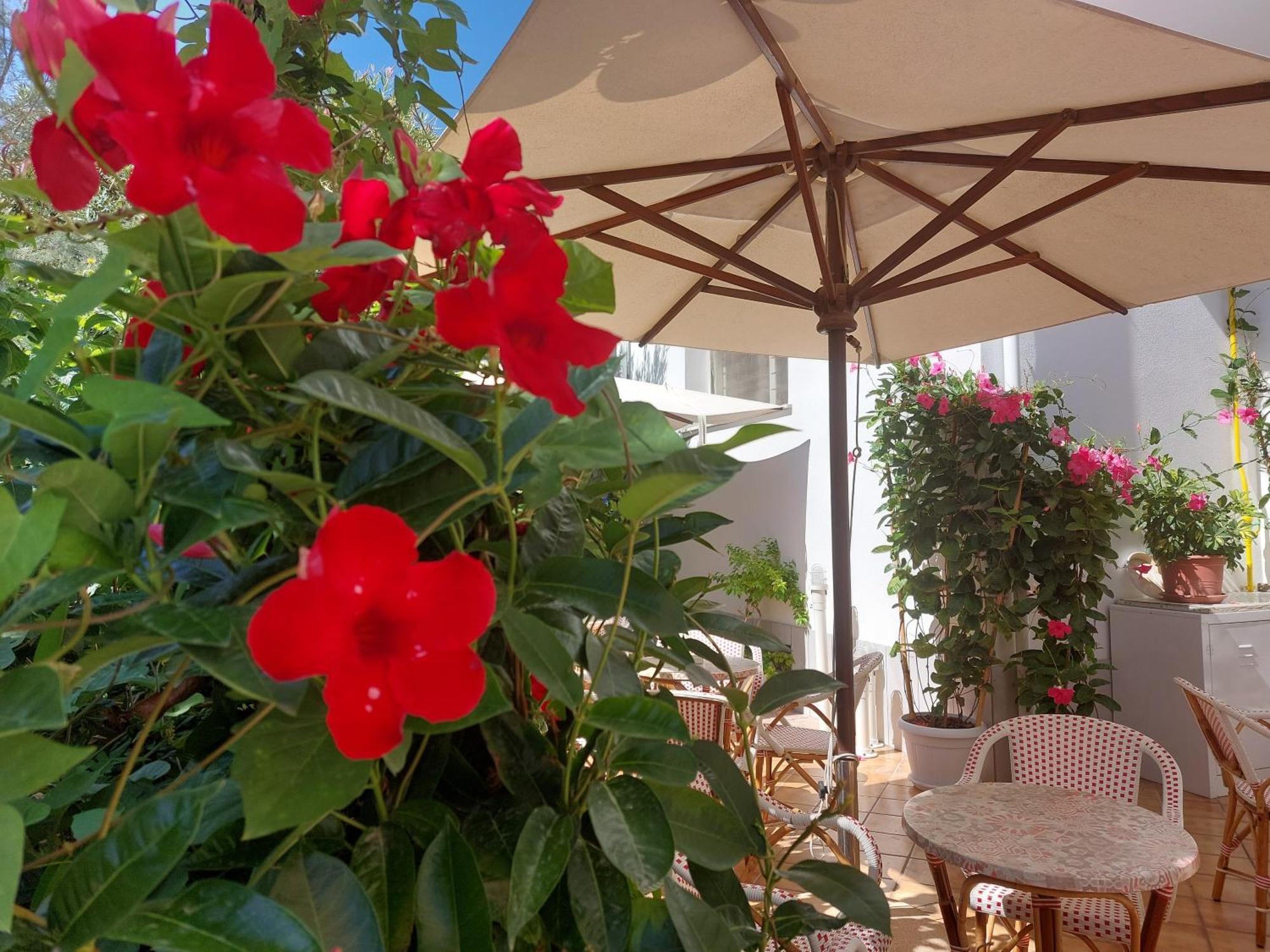 Hotel Driade Sul Mare Rimini Exteriör bild